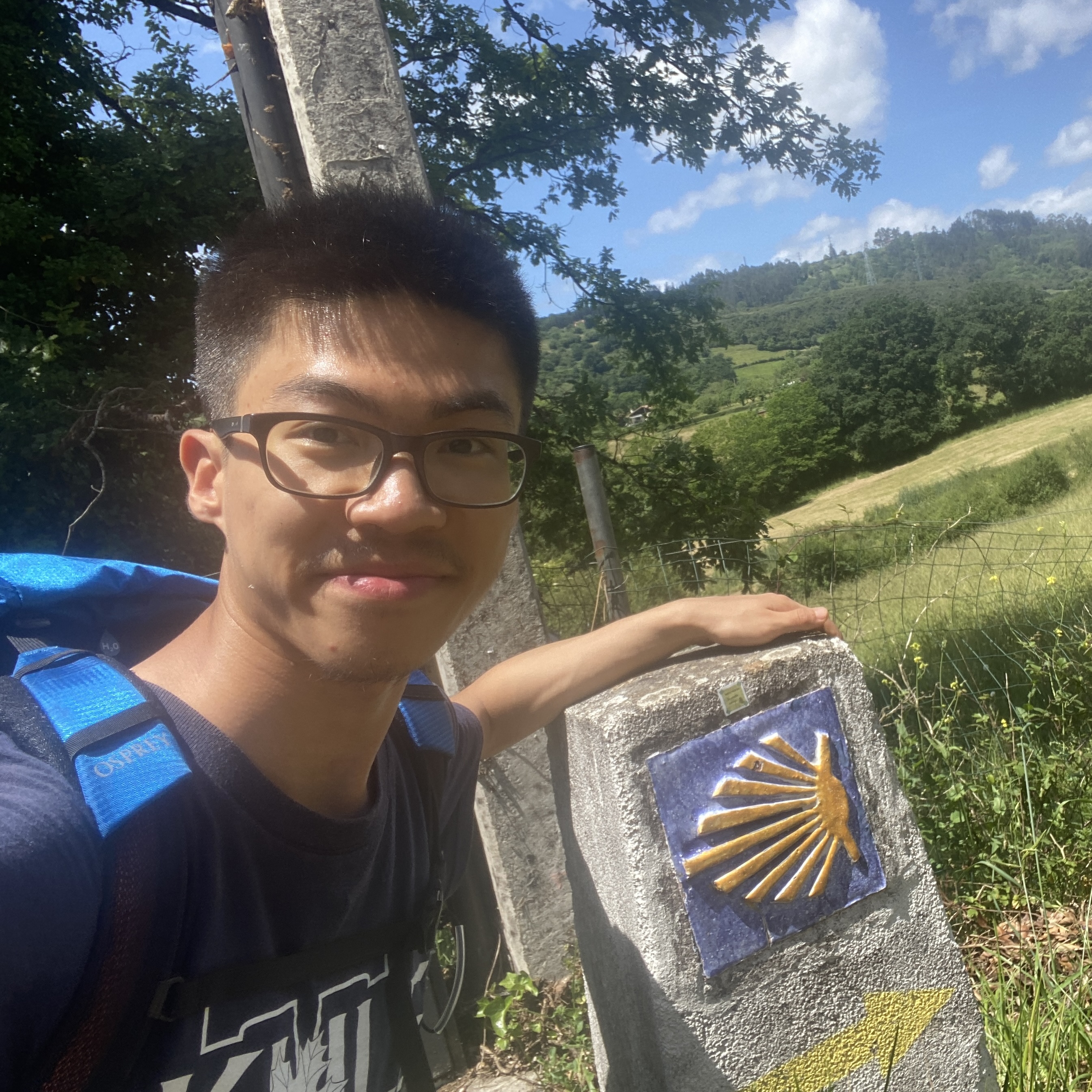 Boya Zhang Profile